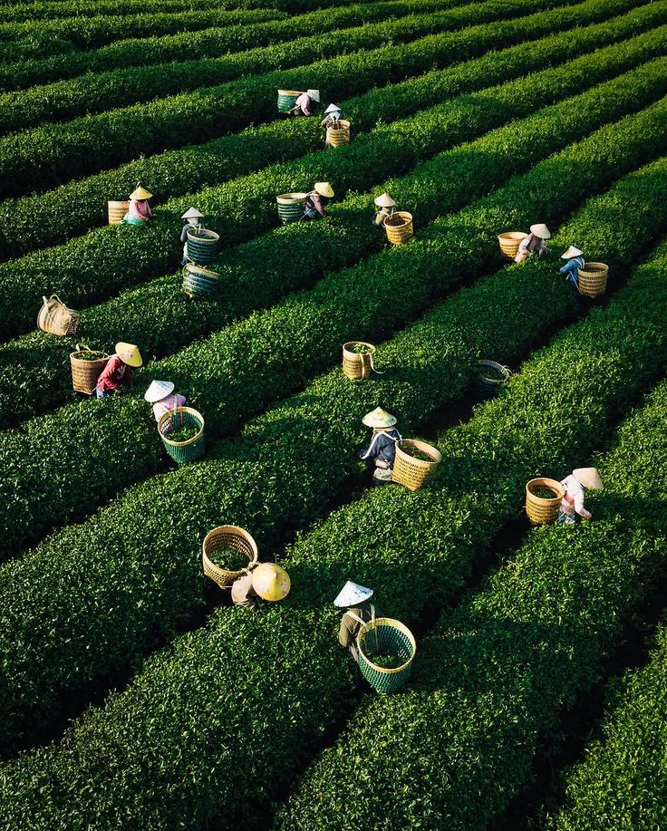 Nguyên liệu cực kỳ đáng tin cậy